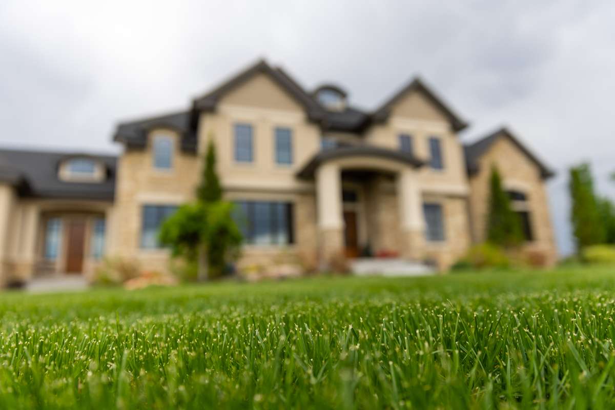 Will My Grass Spread and Cover Bare Spots on Its Own?